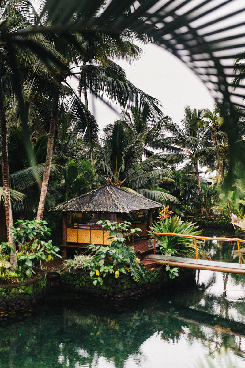 Best Budget Headphones in 2021: Jam out Without Breaking the Bank